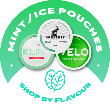 Collection image for: Mint/Ice Pouches